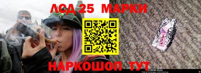 дмт Будённовск