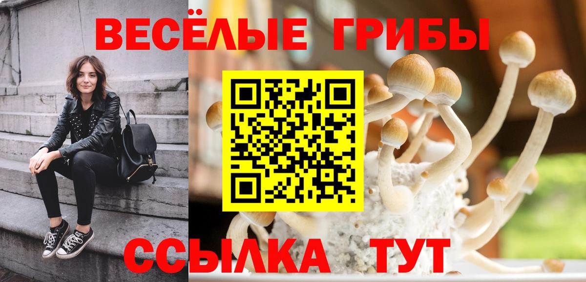 Галлюциногенные грибы GOLDEN TEACHER  купить  цена  Вход с VPN  Одинцово  Галлюциногенные грибы Psilocybine cubensis 